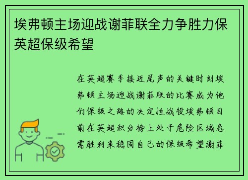 埃弗顿主场迎战谢菲联全力争胜力保英超保级希望
